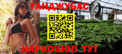 гидра Шелехов