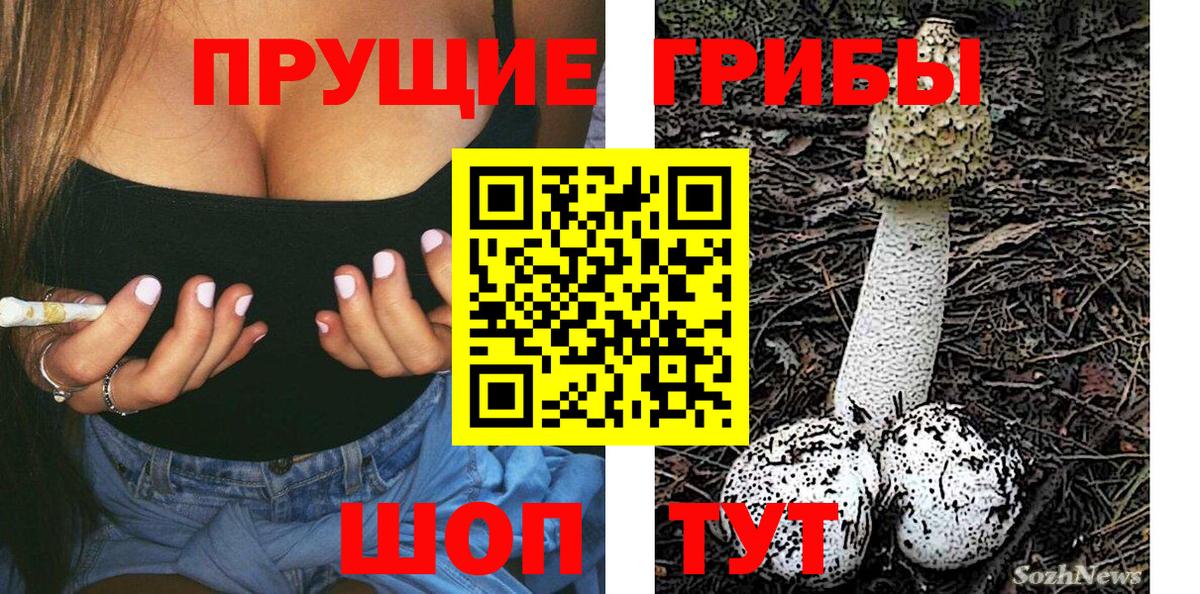 Галлюциногенные грибы прущие грибы  Вход с VPN  Сердобск 